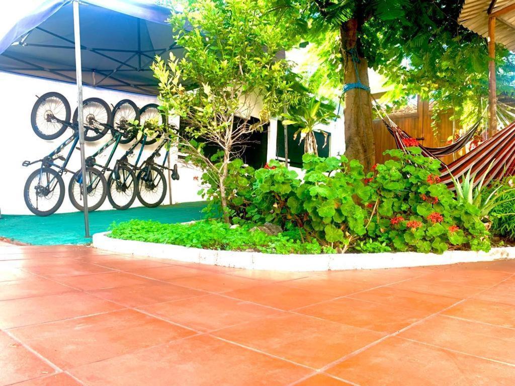 Hostal White House Galapagos Puerto Ayora  Εξωτερικό φωτογραφία