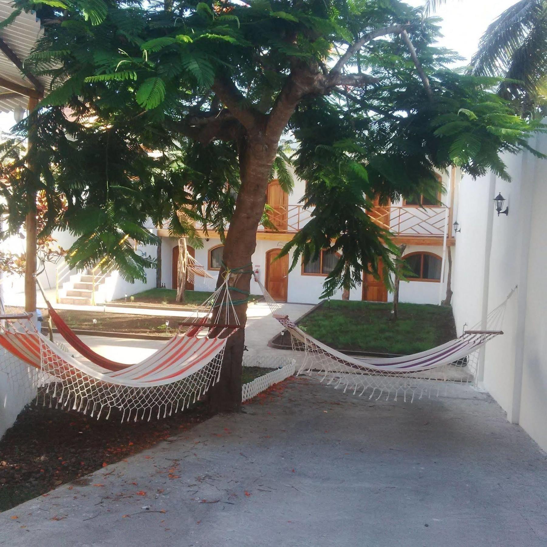Hostal White House Galapagos Puerto Ayora  Εξωτερικό φωτογραφία