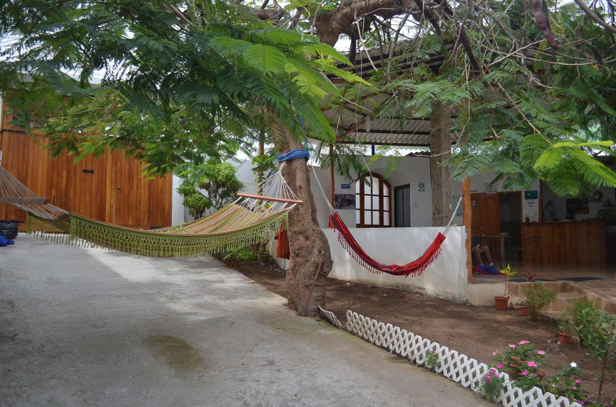 Hostal White House Galapagos Puerto Ayora  Εξωτερικό φωτογραφία